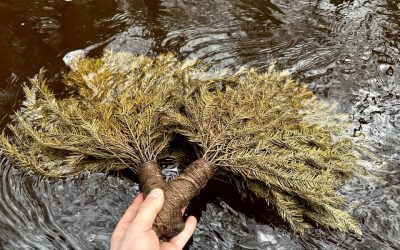 Mėgautis individualiomis procedūromis